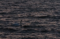 IMG_2528_Resize