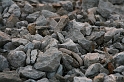 IMG_2535_Resize
