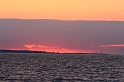 IMG_2562_Resize
