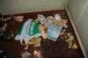 photo120_small.jpg
