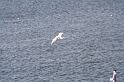 IMG_3913_Resize