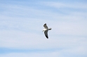 IMG_3916_Resize