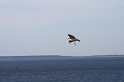 IMG_3934_Resize