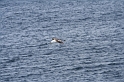 IMG_3936_Resize