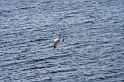 IMG_3937_Resize