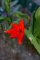 IMG_4332_Resize