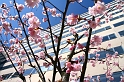 IMG_4364_Resize