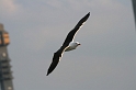 IMG_5266_Resize