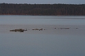 IMG_5376_Resize