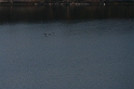 IMG_5404_Resize
