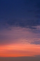 IMG_6305_Resize