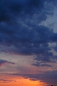 IMG_6333_Resize