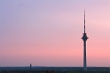 IMG_6340_Resize