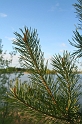 IMG_7244_Resize