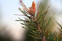 IMG_7303_Resize