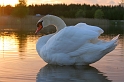 IMG_7408_Resize