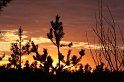 IMG_7448_Resize