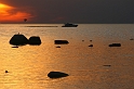 IMG_0844_Resize