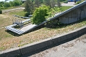 IMG_1019_Resize