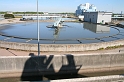 IMG_1035_Resize