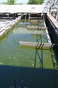 IMG_1066_Resize