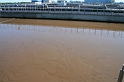IMG_1088_Resize