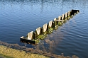 IMG_1092_Resize