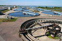 IMG_1124_Resize