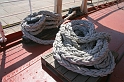 IMG_1348_Resize