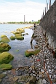 IMG_1514_Resize