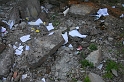 IMG_2995_Resize