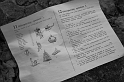 IMG_3001_Resize_Resize