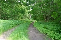 IMG_3025_Resize