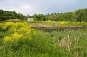 IMG_3029_Resize