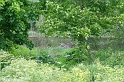 IMG_3039_Resize