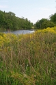 IMG_3044_Resize