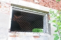 IMG_3045_Resize