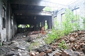 IMG_3050_Resize