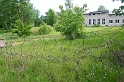 IMG_3056_Resize
