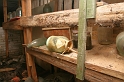 IMG_3072_Resize