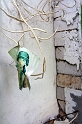 IMG_3101_Resize