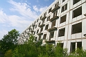 IMG_3113_Resize