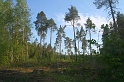 IMG_3139_Resize