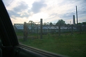 IMG_3142_Resize