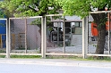 IMG_3151_Resize