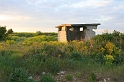 IMG_3169_Resize