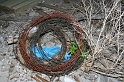 IMG_3170_Resize