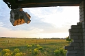 IMG_3171_Resize