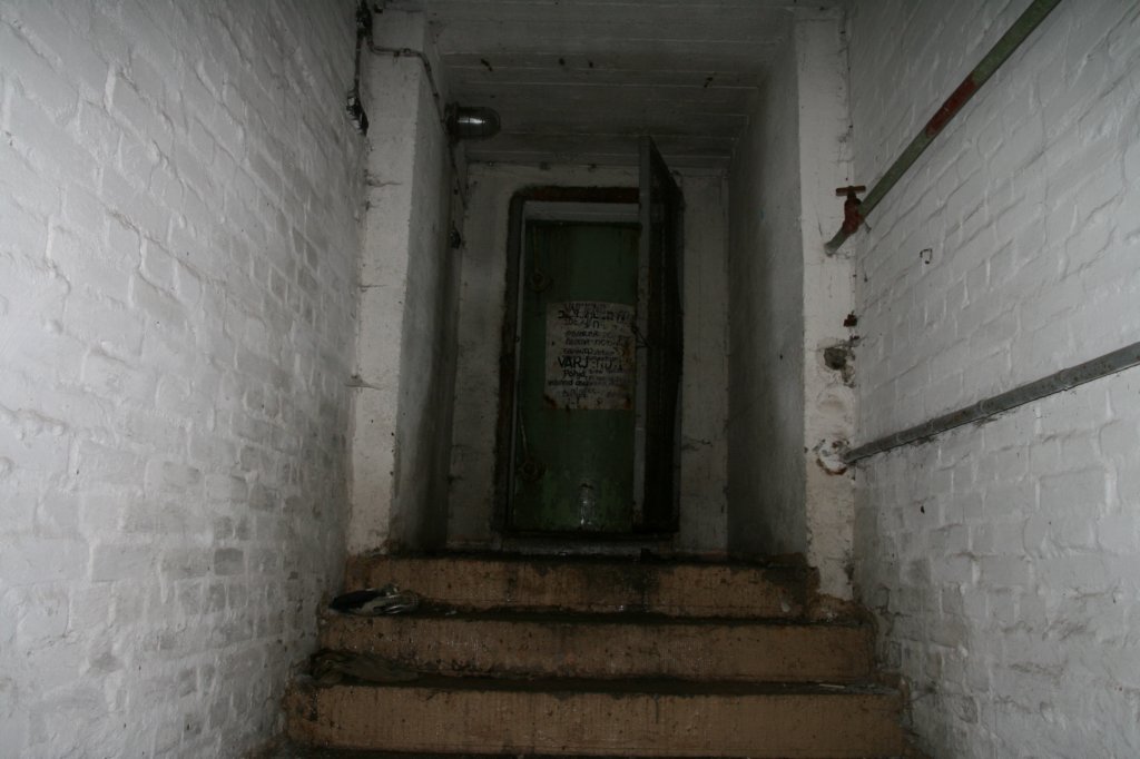 photo46.jpg