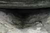 photo9_small.jpg